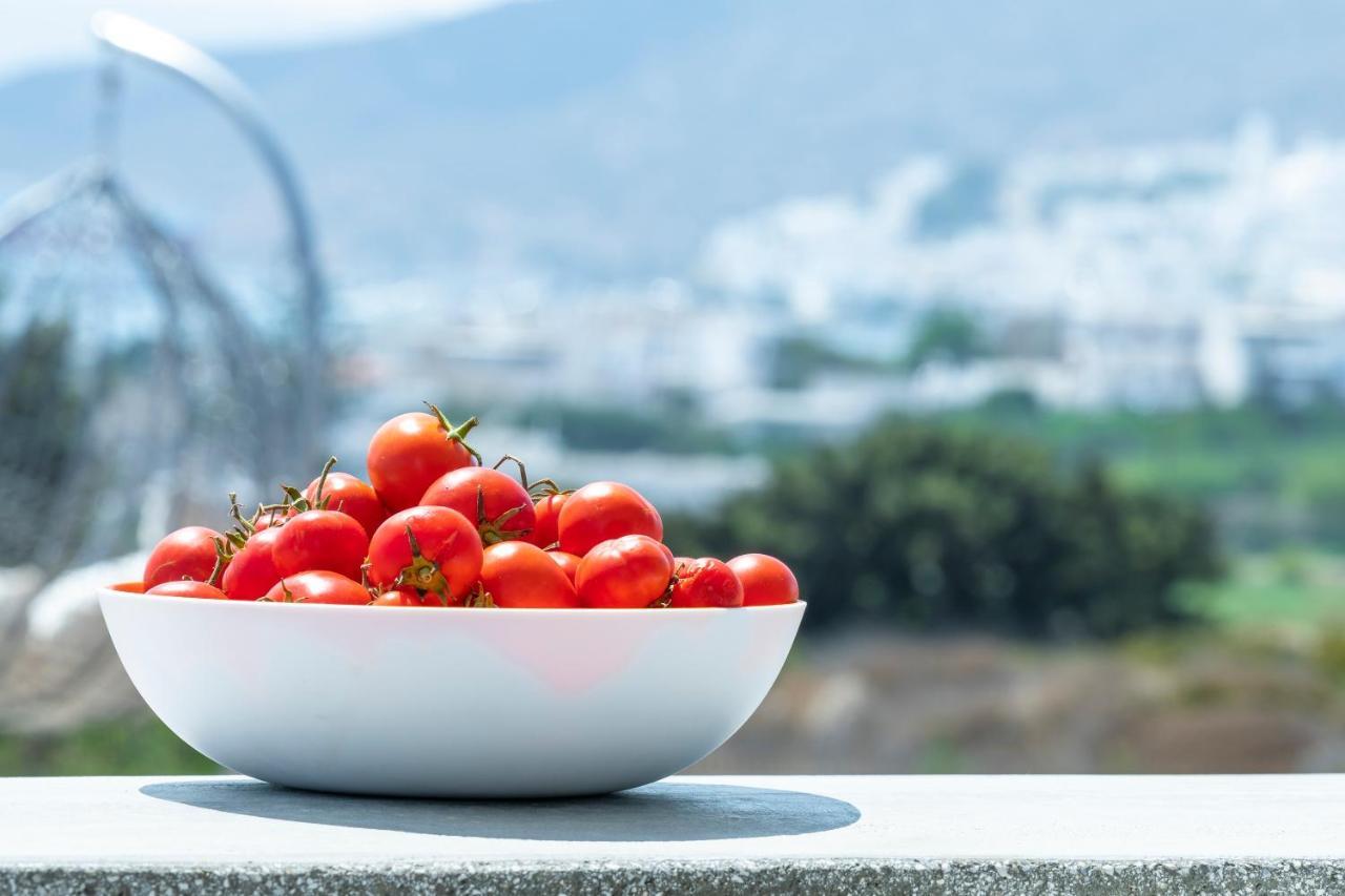 Aelia Suites Αδάμας Εξωτερικό φωτογραφία
